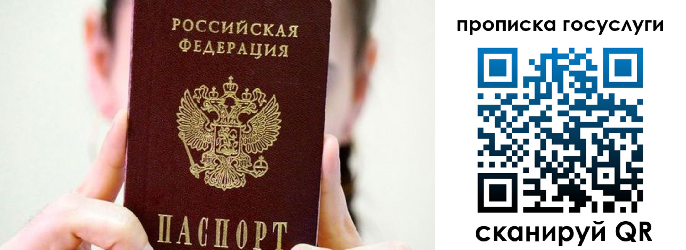 прописка поиск в Рязани